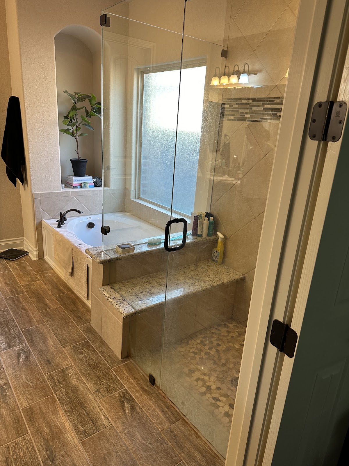 Master bath soaking tub and frameless glass shower